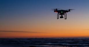 "Comidas do futuro" podem mudar forma dos brasileiros de se alimentar